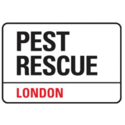 Pest Rescue London